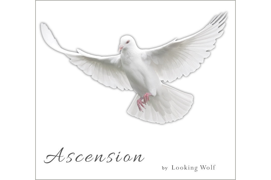 Ascension - CD